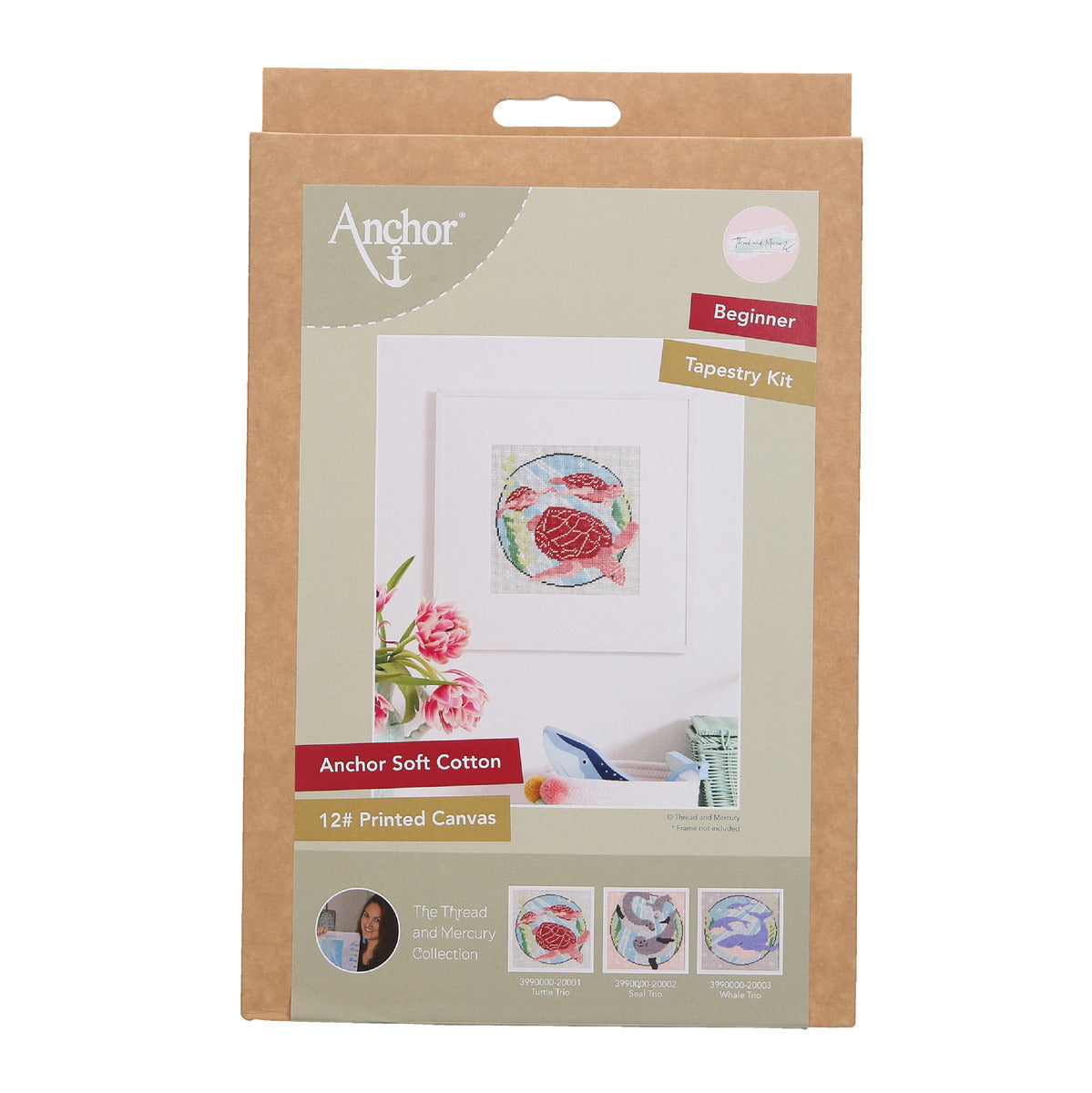 Anchor tapestry kit presented in a box