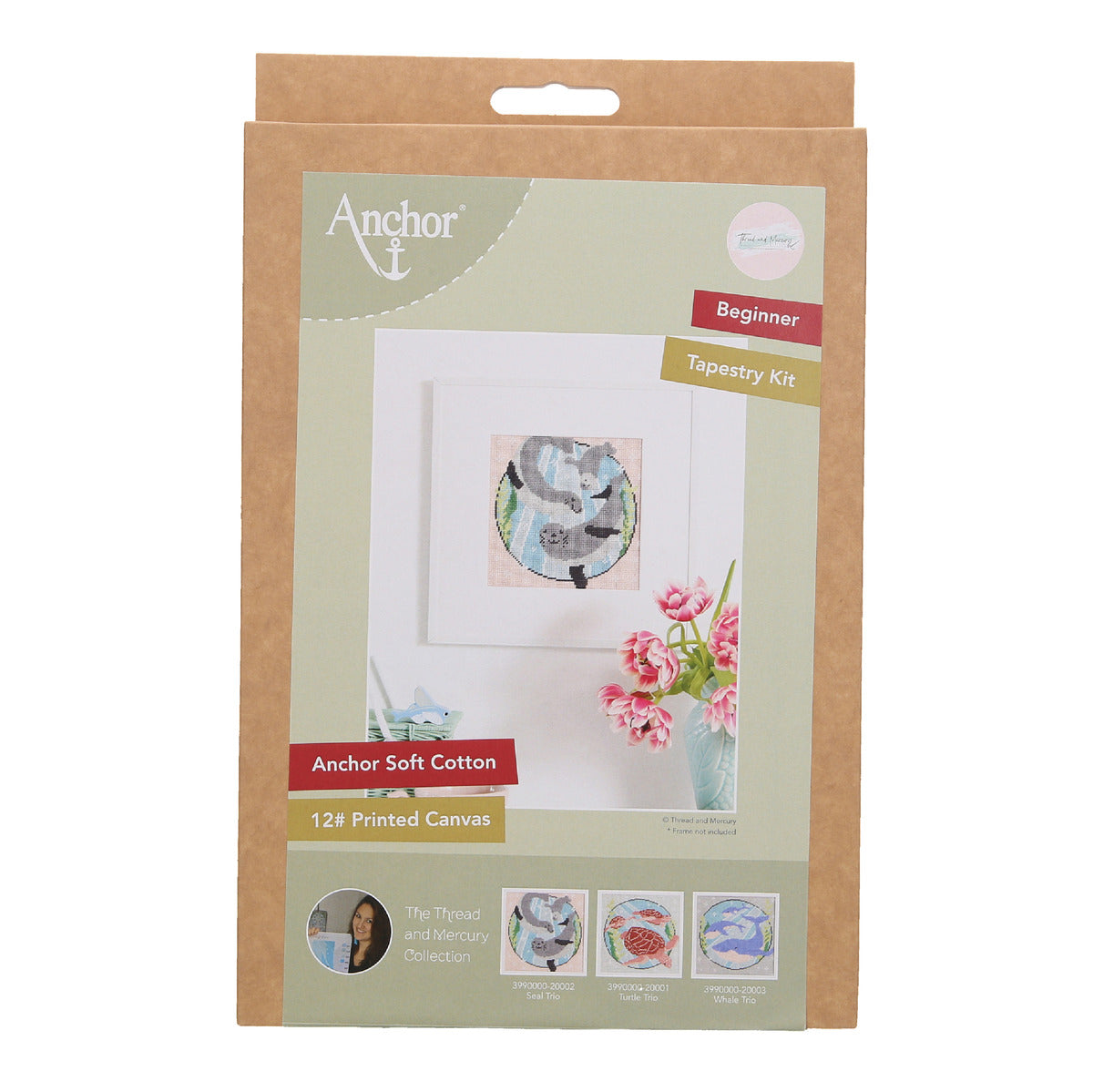 An image of the anchor beginner needlepoint kit in a box.