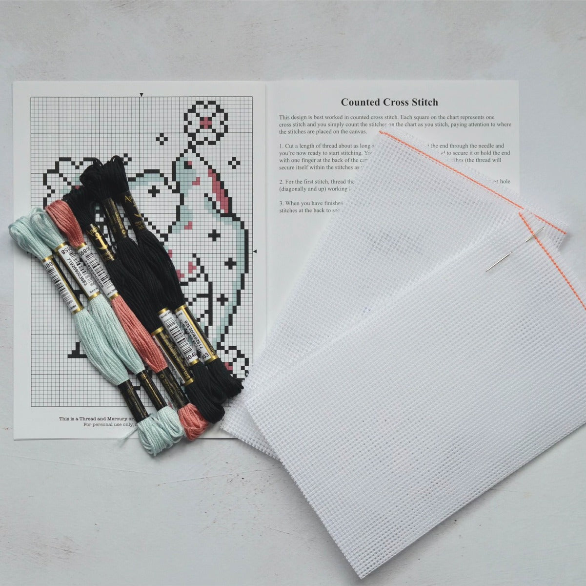 a cross stitch kit using waste canvas and stranded cotton