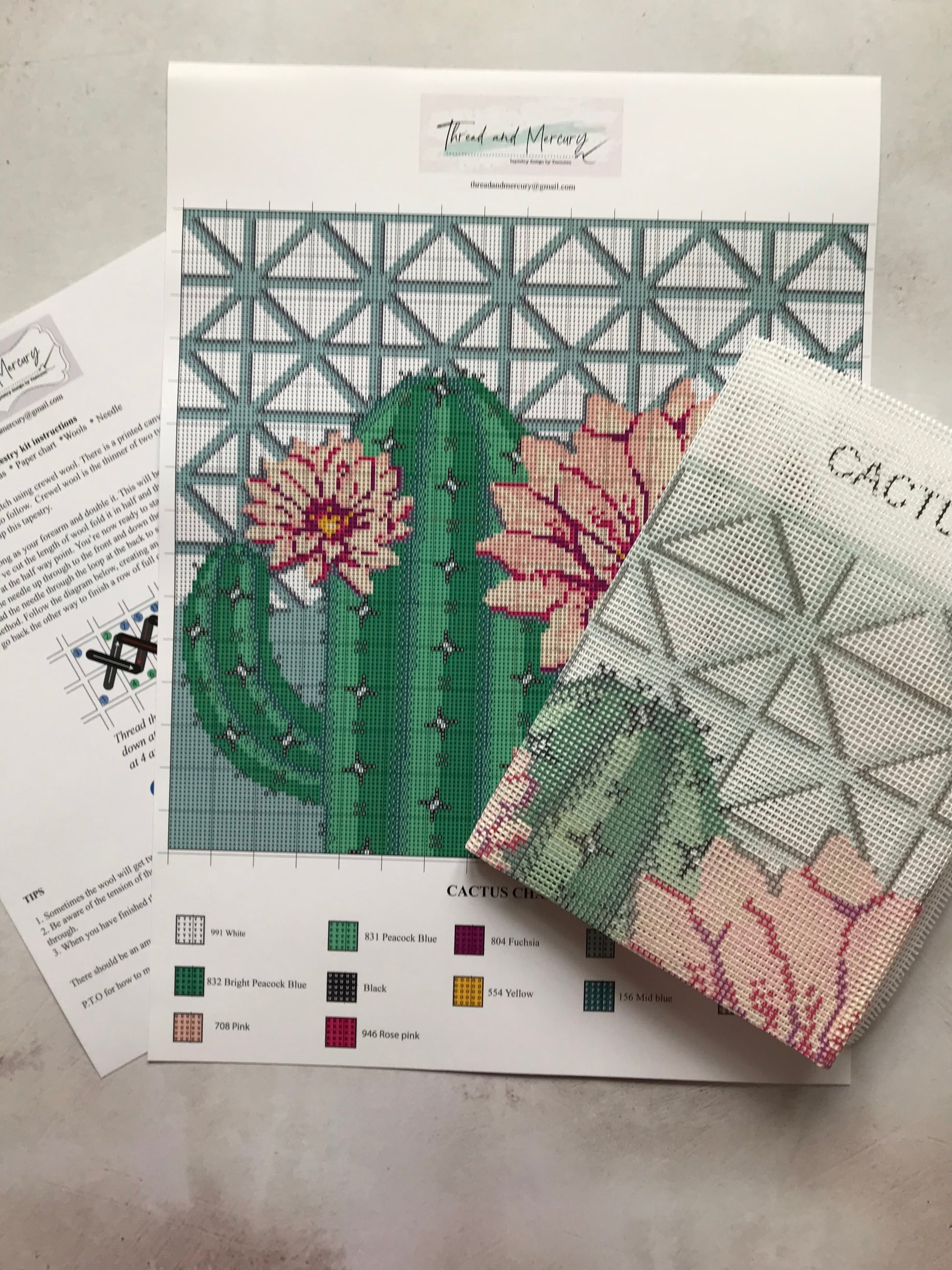 printed paper chart of the cactus design, instructions and printed interlock canvas
